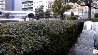 高级会所里妈妈带了一群美女来
